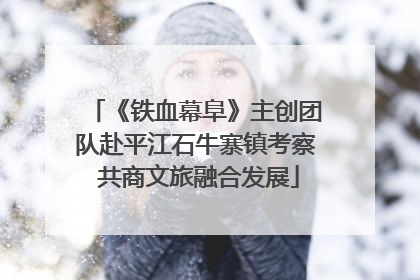 《铁血幕阜》主创团队赴平江石牛寨镇考察 共商文旅融合发展