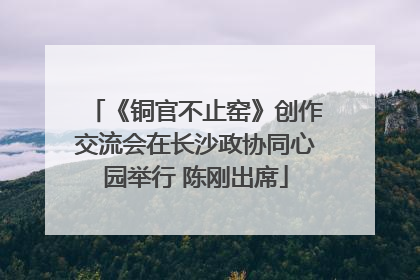 《铜官不止窑》创作交流会在长沙政协同心园举行 陈刚出席