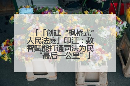 「创建“枫桥式”人民法庭」印江：数智赋能打通司法为民“最后一公里”