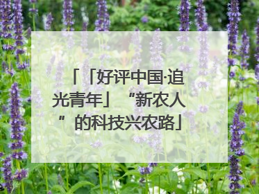 「好评中国·追光青年」“新农人”的科技兴农路