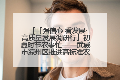 「强信心 看发展·高质量发展调研行」初夏时节农事忙——武威市凉州区推进高标准农田建设见闻