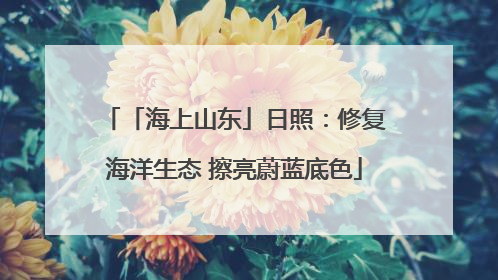 「海上山东」日照：修复海洋生态 擦亮蔚蓝底色