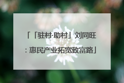「驻村·助村」刘同旺：惠民产业拓宽致富路