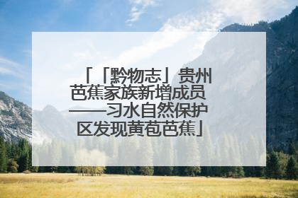 「黔物志」贵州芭蕉家族新增成员——习水自然保护区发现黄苞芭蕉