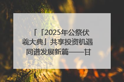 「2025年公祭伏羲大典」共享投资机遇 同谱发展新篇——甘肃省文旅产业链招商引资推介会侧记
