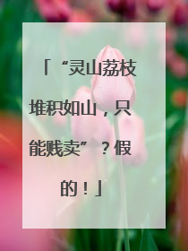 “灵山荔枝堆积如山，只能贱卖”？假的！