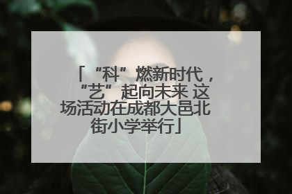 “科”燃新时代，“艺”起向未来 这场活动在成都大邑北街小学举行
