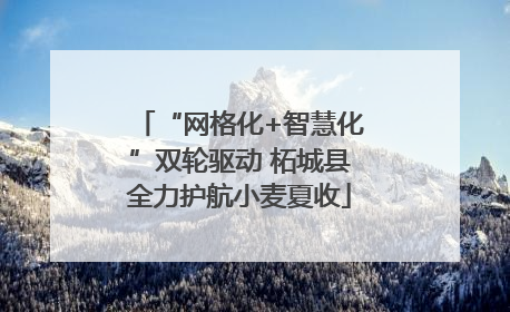 “网格化+智慧化”双轮驱动 柘城县全力护航小麦夏收