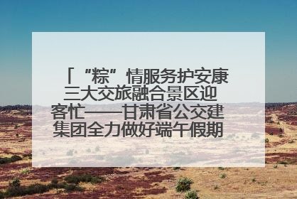 “粽”情服务护安康 三大交旅融合景区迎客忙——甘肃省公交建集团全力做好端午假期景区运营工作
