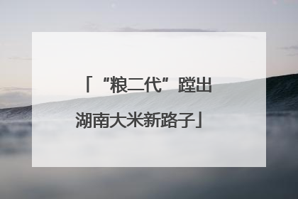 “粮二代”蹚出湖南大米新路子