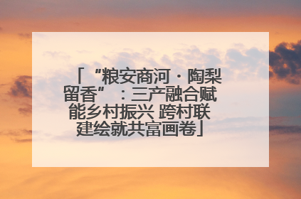 “粮安商河・陶梨留香”：三产融合赋能乡村振兴 跨村联建绘就共富画卷