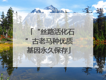 “丝路活化石”古老马种优质基因永久保存