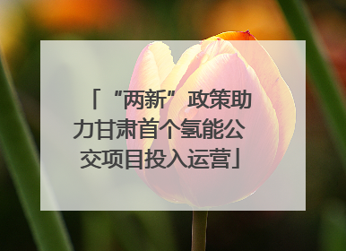 “两新”政策助力甘肃首个氢能公交项目投入运营