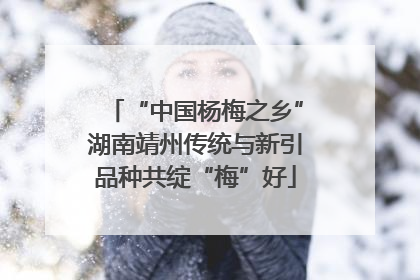 “中国杨梅之乡”湖南靖州传统与新引品种共绽“梅”好