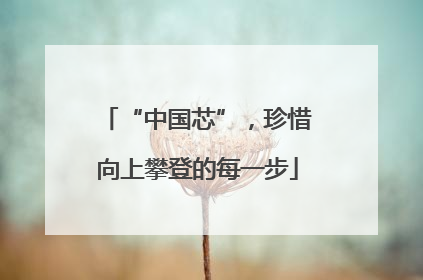 “中国芯”，珍惜向上攀登的每一步