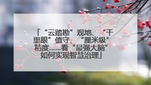 “云踏勘”观地、“千里眼”值守、“厘米级”精度……看“最强大脑”如何实现智慧治理