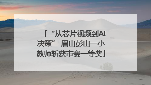 “从芯片视频到AI决策” 眉山彭山一小教师斩获市赛一等奖