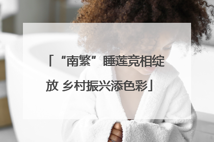 “南繁”睡莲竞相绽放 乡村振兴添色彩