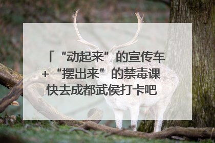 “动起来”的宣传车+“摆出来”的禁毒课 快去成都武侯打卡吧｜国际禁毒日