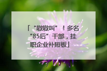 “嗷嗷叫”！多名“85后”干部，挂职企业补短板