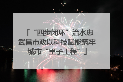 “四步闭环”治水患 武昌市政以科技赋能筑牢城市“里子工程”