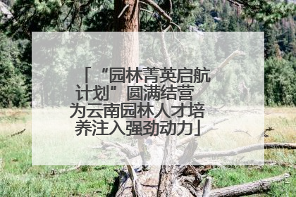 “园林菁英启航计划”圆满结营 为云南园林人才培养注入强劲动力