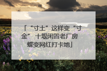 “寸土”这样变“寸金” 十堰闲置老厂房蝶变网红打卡地