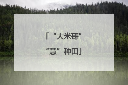 “大米哥”“慧”种田