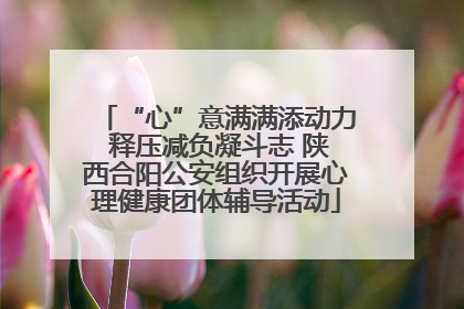 “心”意满满添动力 释压减负凝斗志 陕西合阳公安组织开展心理健康团体辅导活动