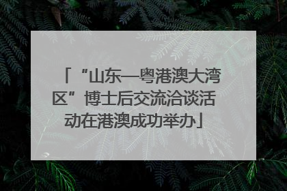 “山东—粤港澳大湾区”博士后交流洽谈活动在港澳成功举办