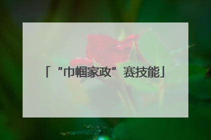 “巾帼家政”赛技能