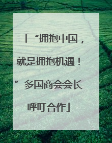 “拥抱中国，就是拥抱机遇！”多国商会会长呼吁合作