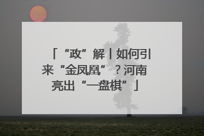 “政”解丨如何引来“金凤凰”？河南亮出“一盘棋”