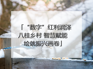 “数字”红利润泽八桂乡村 智慧赋能绘就振兴画卷