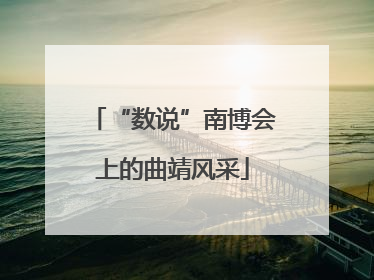 “数说”南博会上的曲靖风采