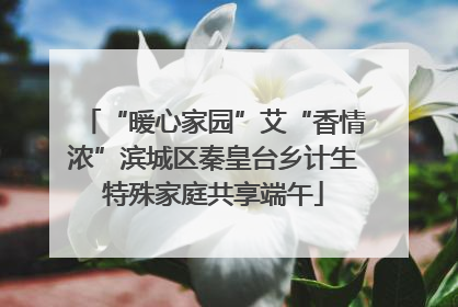 “暖心家园”艾“香情浓”滨城区秦皇台乡计生特殊家庭共享端午