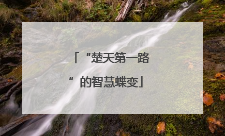 “楚天第一路”的智慧蝶变