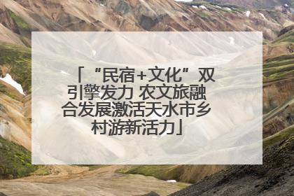 “民宿+文化”双引擎发力 农文旅融合发展激活天水市乡村游新活力