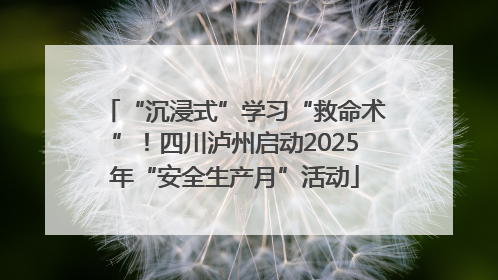 “沉浸式”学习“救命术”！四川泸州启动2025年“安全生产月”活动