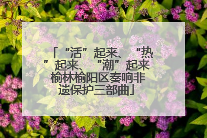 “活”起来、“热”起来、“潮”起来 榆林榆阳区奏响非遗保护三部曲