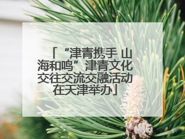 “津青携手 山海和鸣”津青文化交往交流交融活动在天津举办