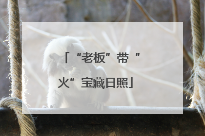 “老板”带“火”宝藏日照