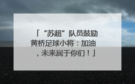 “苏超”队员鼓励黄桥足球小将：加油，未来属于你们！