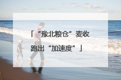 “豫北粮仓”麦收跑出“加速度”
