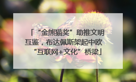 “金熊猫奖”助推文明互鉴，布达佩斯架起中欧“互联网+文化”桥梁