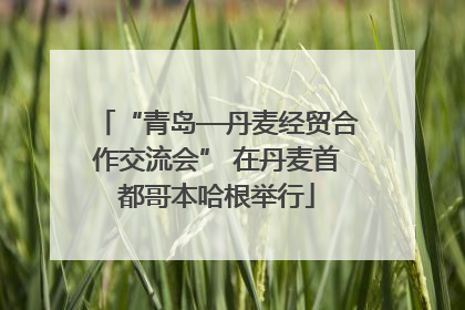 “青岛—丹麦经贸合作交流会” 在丹麦首都哥本哈根举行