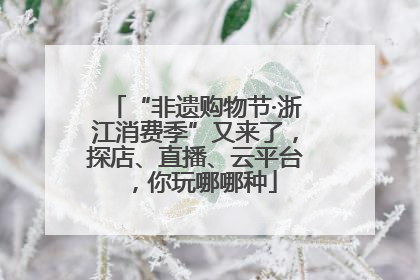 “非遗购物节·浙江消费季”又来了，探店、直播、云平台，你玩哪哪种