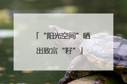 “阳光空间”晒出致富“籽”