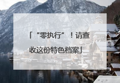 “零执行”！请查收这份特色档案