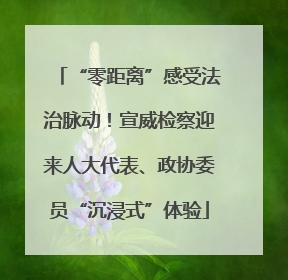 “零距离”感受法治脉动！宣威检察迎来人大代表、政协委员“沉浸式”体验